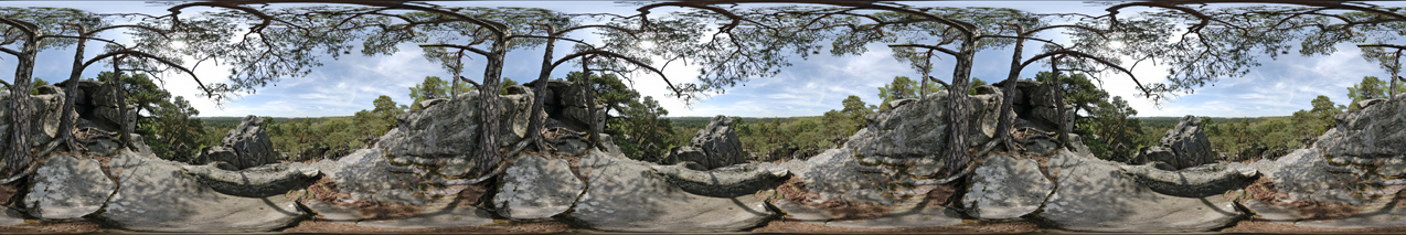 fontainebleau