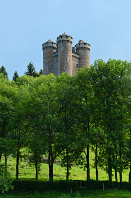 dijon