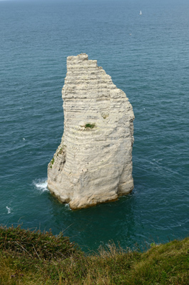 dijon